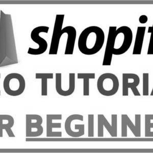 Shopify search engine optimization Optimization Tutorial For Learners |  Step-by-step FREE TRAFFIC