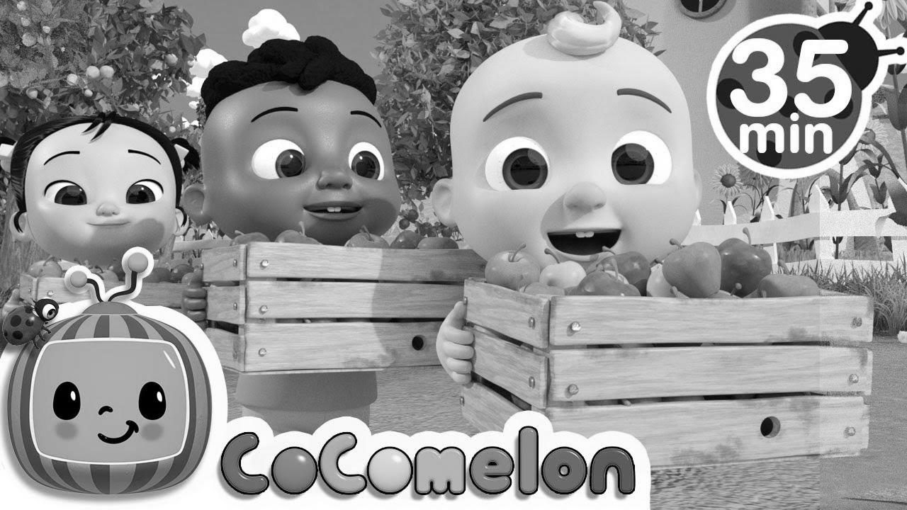 Study to Depend with Apples + Extra Nursery Rhymes & Children Songs – CoComelon