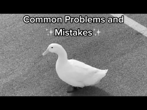 {How to|The way to|Tips on how to|Methods to|Easy methods to|The right way to|How you can|Find out how to|How one can|The best way to|Learn how to|} {Pick|Decide|Choose} Up a Duck #1 (full video)