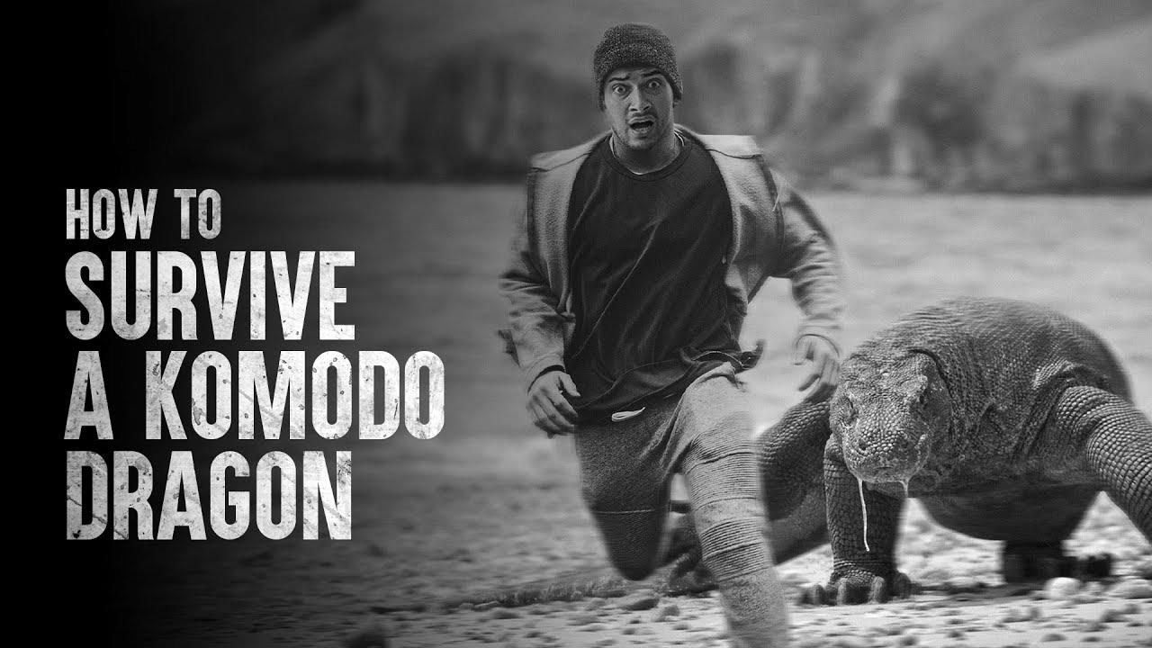 How To Survive a Komodo Dragon {Attack|Assault}