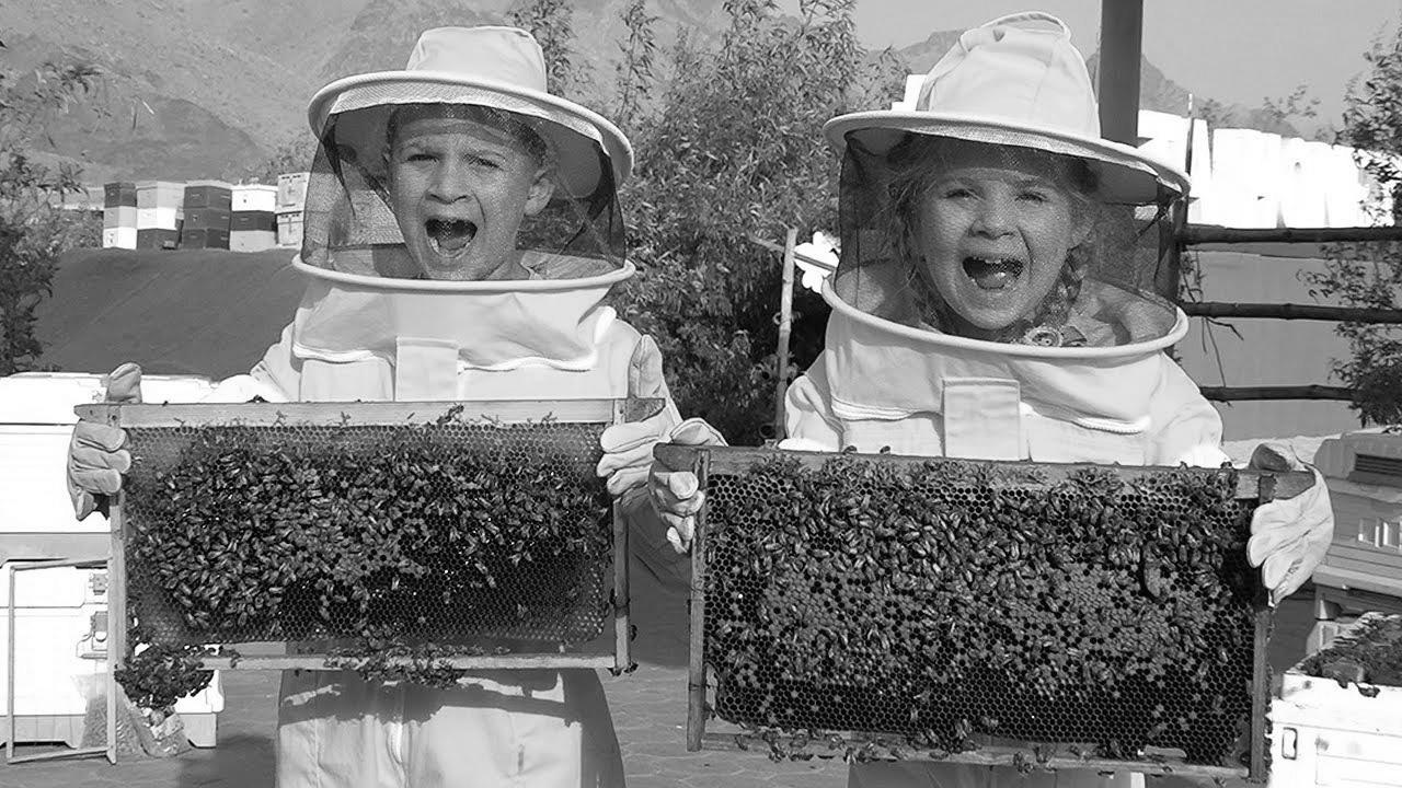 Diana and Roma Find out about Bees, HATTA Honey Bee Garden Tour – Fun household journey